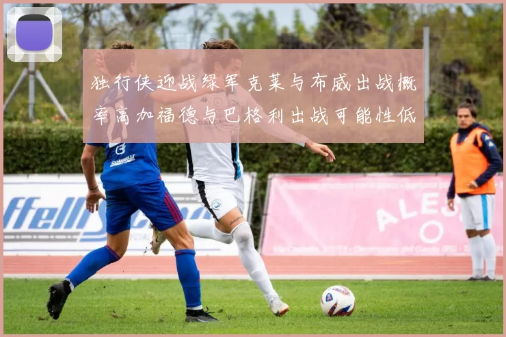 独行侠迎战绿军克莱与布威出战概率高加福德与巴格利出战可能性低