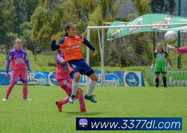 3377体育发展历程