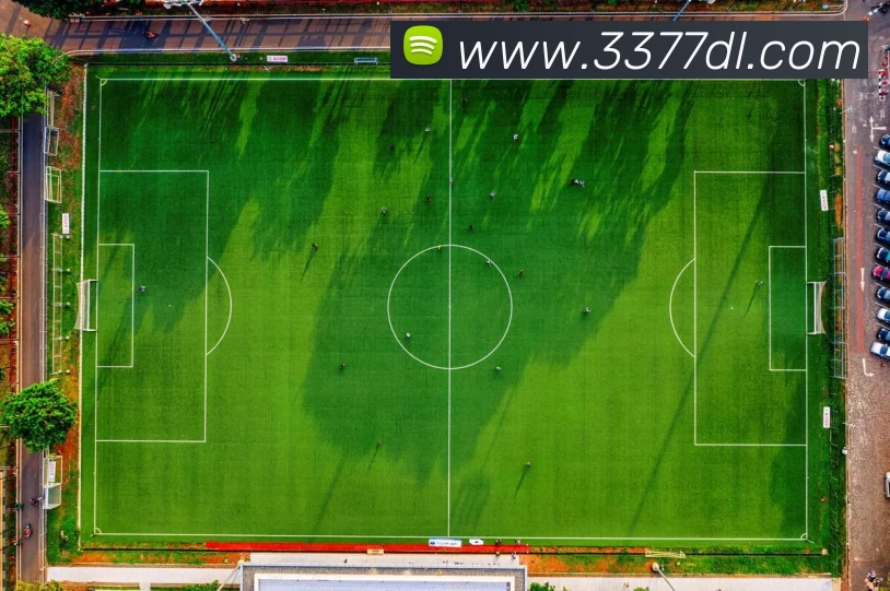 阿里纳斯称乔丹22岁时表现堪比弗拉格练习一夏天将更为强大